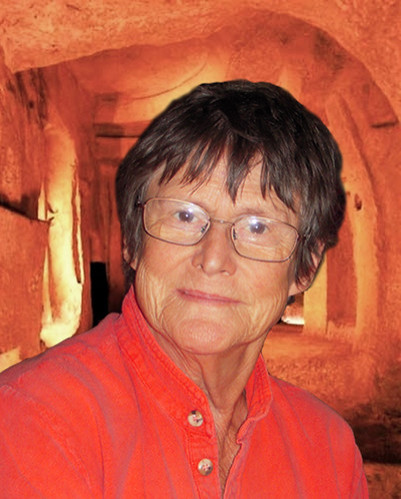 dissertation hell shannon twitter